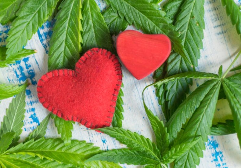 Czy zażywanie marihuany wpływa na działanie serca?